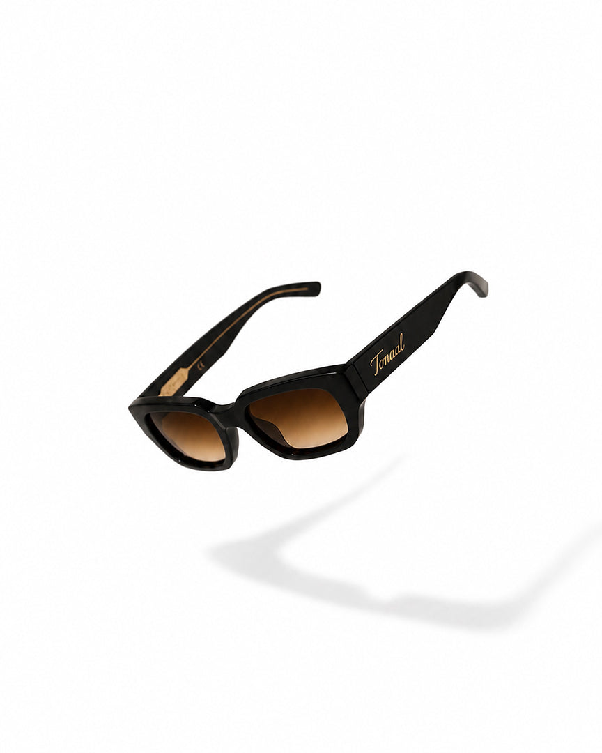 Biscayne Sunglasses